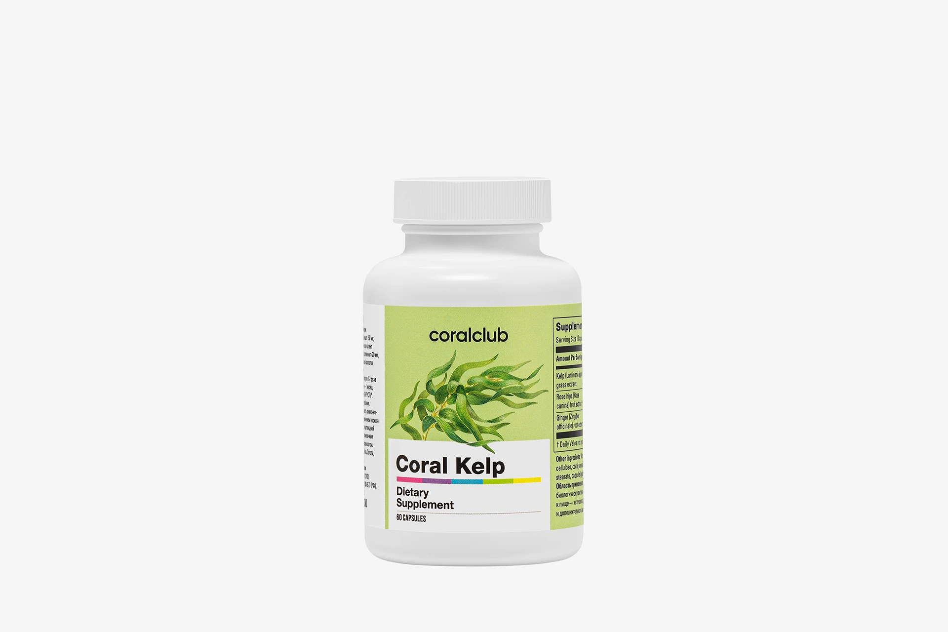 Koral Kelp